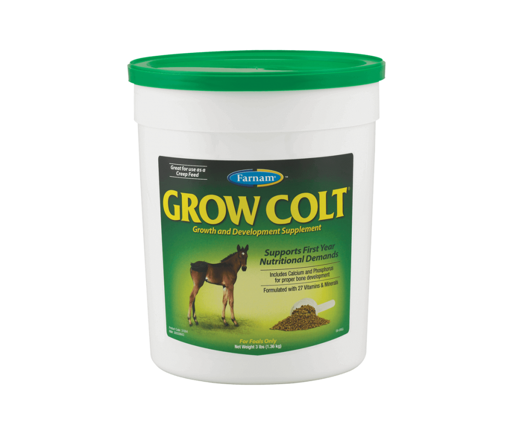 Farnam תוסף לסייחים GROW COLT סוס סטור